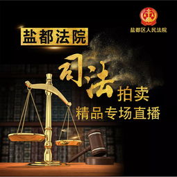 鹽都法院5.20司法拍賣精品等您帶走，法規(guī)解讀與操作指南